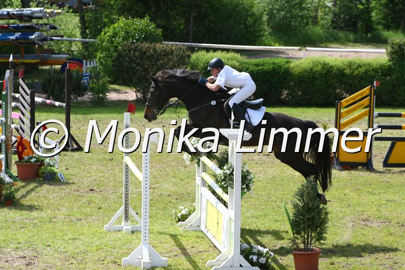 204M6408_Amaryllis_Spring Mx.JPG